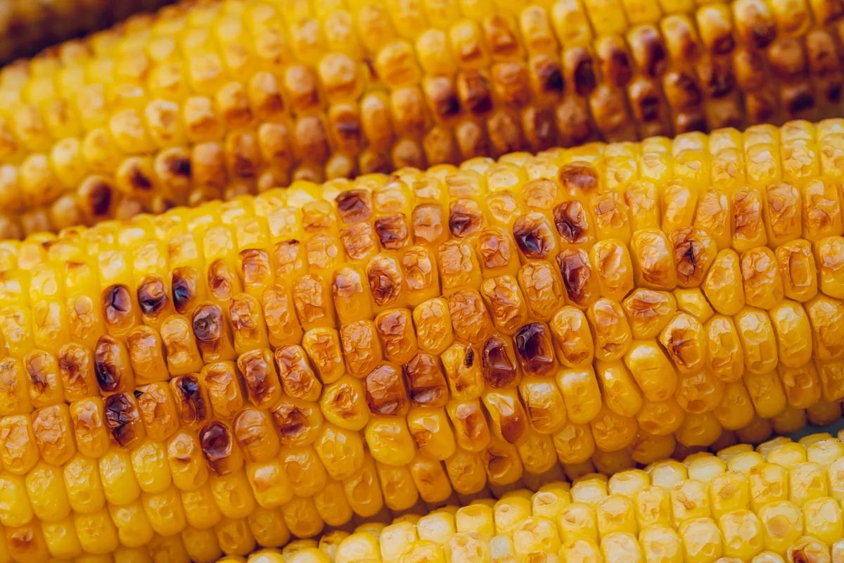 Maple Grilled Corn with Bacon